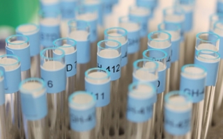 Contrôle positif aux corticoïdes : la sanction infligée au jeune rugbyman ne sera pas suspendue